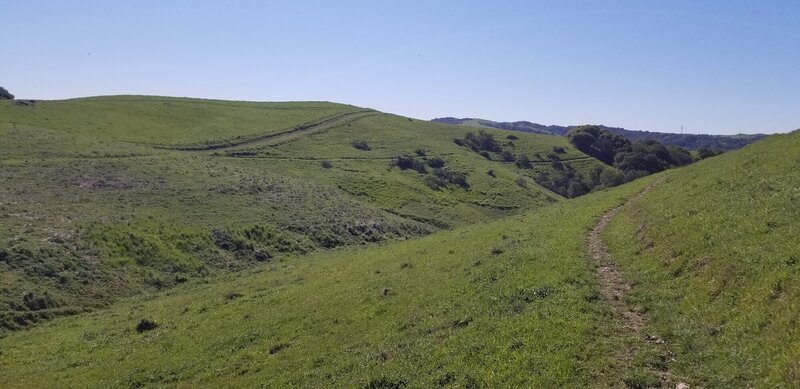 Following the contours on the seldom used Tina Batt Trail