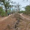 Riders on SSSwitchback Trail