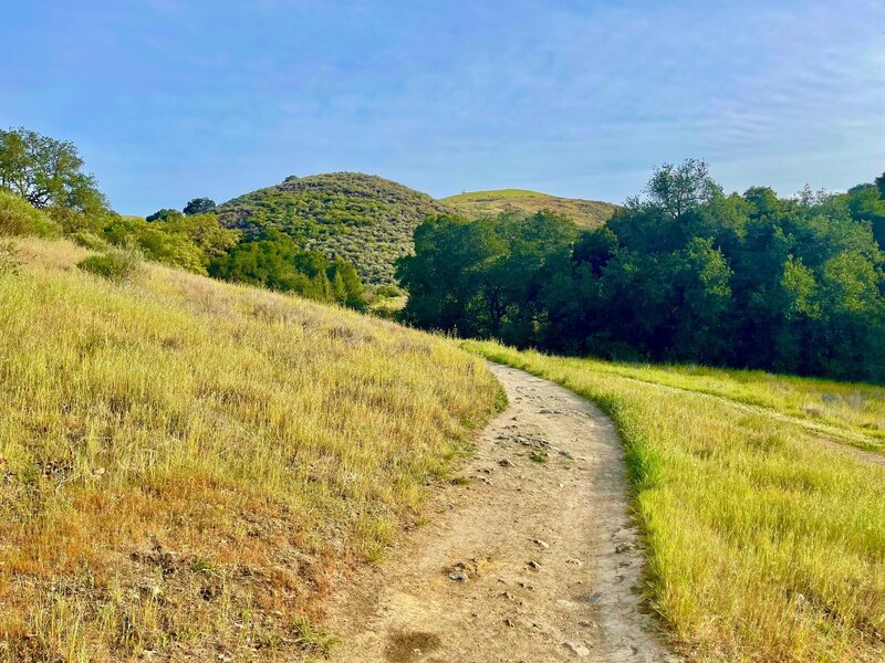 Fortini Trail, Santa Teresa County Park