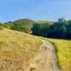 Fortini Trail, Santa Teresa County Park