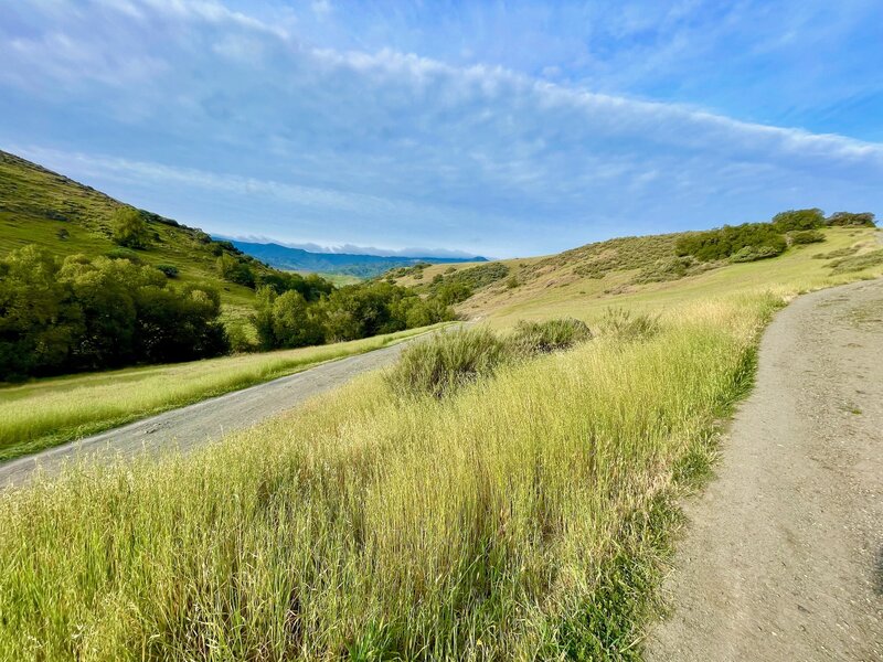 Fortini Trail, Santa Teresa County Park