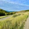 Fortini Trail, Santa Teresa County Park