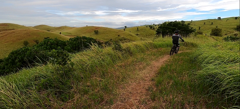 View of the rolling hills of the bike park on one of the rises.