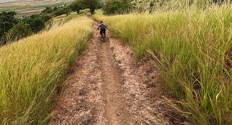 Tunnel vision on the Ridge2Forest Trail of Bongabon Bike Park