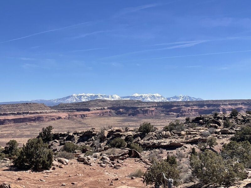 A view of the La Sals as seen from the top of the 3D trail