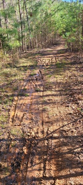 This section takes 3 days of sun to dry out after heavy rains.