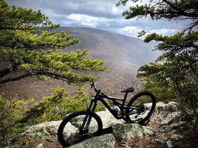 Looking at Great North Mountain from Half Moon Trail overlook.