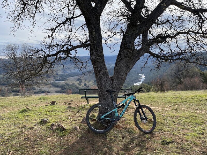 Bench at the top of the climb.