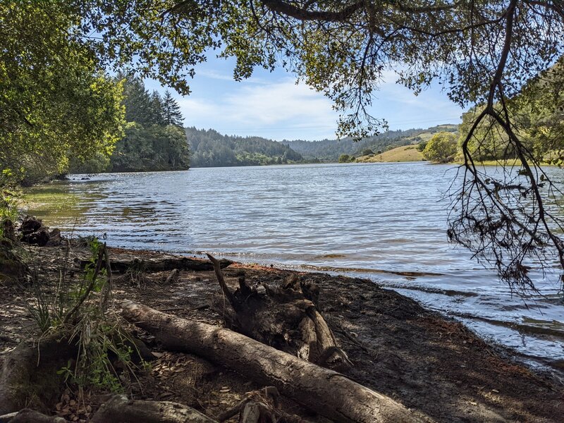 Lagunitas Lake on the 3 Lake Loop Trail