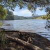 Lagunitas Lake on the 3 Lake Loop Trail