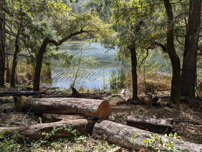 Lake Lagunitas, from the 3 Lake Loop trail