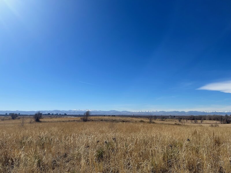 Mountain views from Cherry Creek State Park