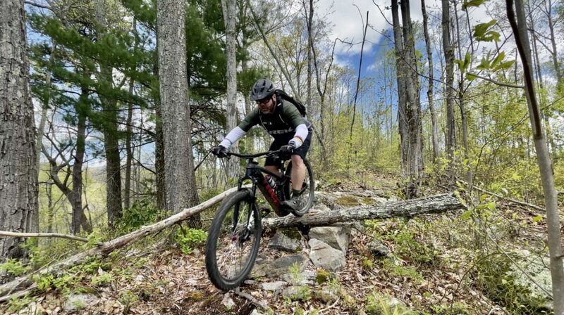 Plenty of rocks along Rustic Ridge.