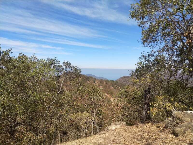 Ocean View. Enduro Start.