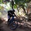 Beach singletrack Pinche Dust.