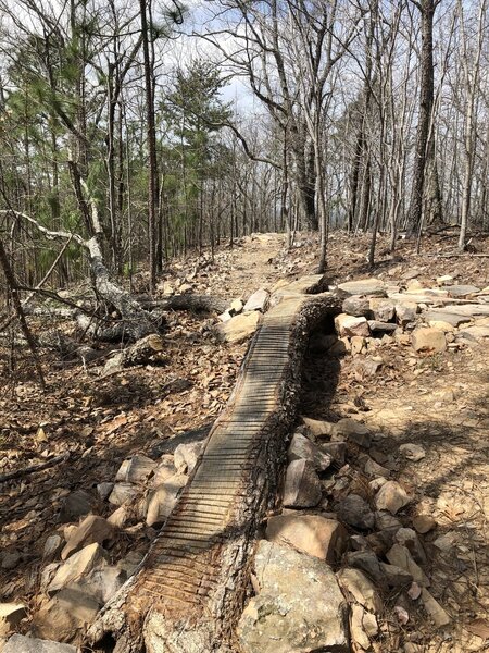 New trail feature