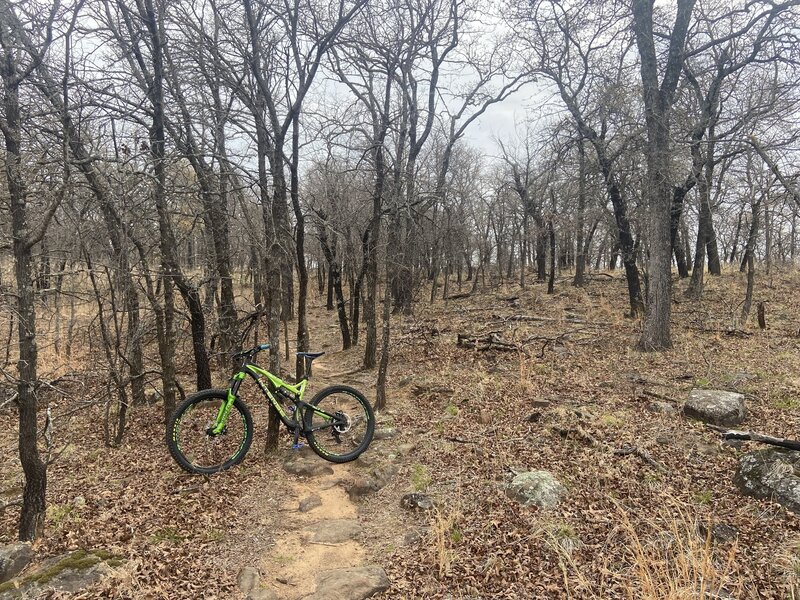 Dfw mountain bike discount trails