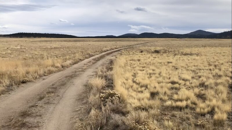 Herring Park doubletrack.