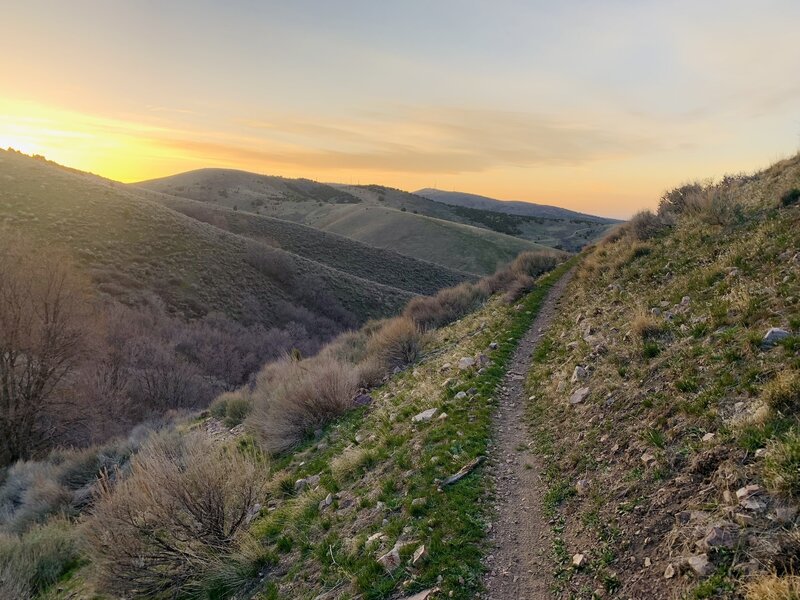 Switchback sunset.