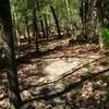 Singletrack on Weaver Way Trail.