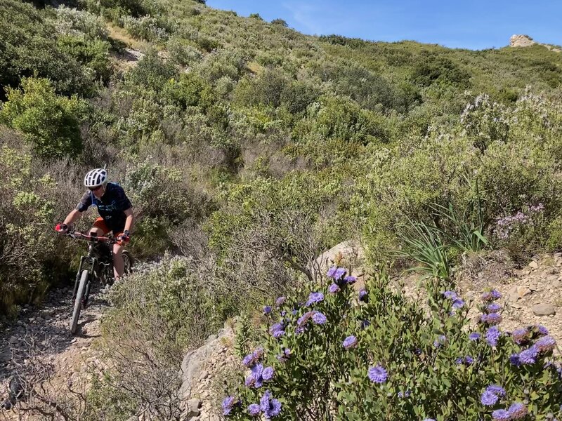 Vegetation narrows the trail as you ascend to the Les Opies col.