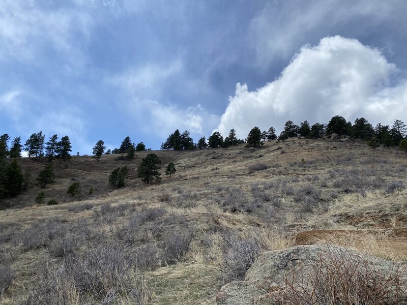 Looking up at Bonanza.