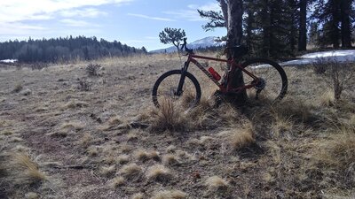 Early morning singletrack ride at 9,000 feet in Divide Colorado- Pike National Forest.