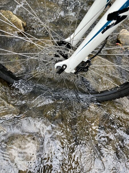 This is the average depth of the creek where the access trail meets the loop.