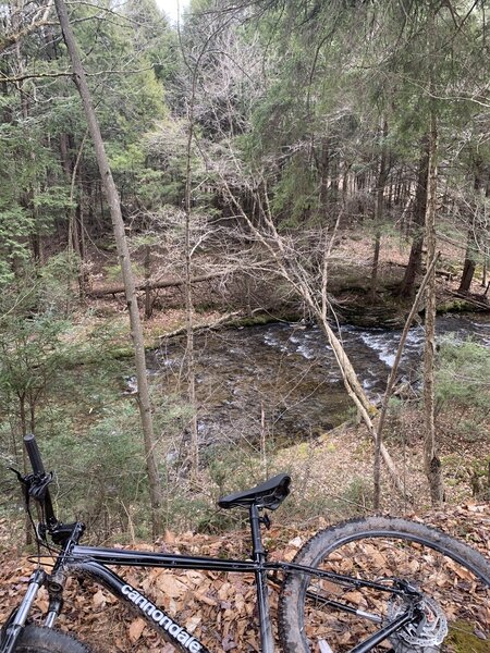 Trail view of Mill Creek