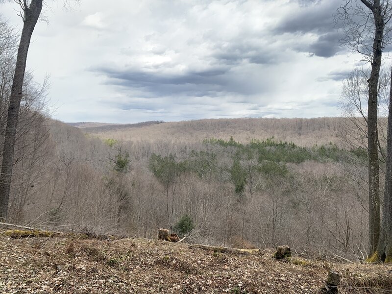 Overlook from Challenger Loop.