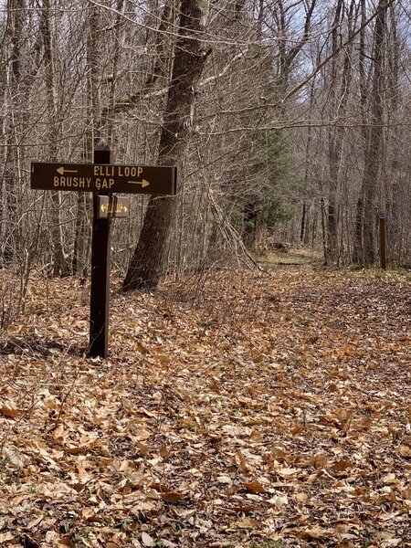 Intersection of Brushy Gap and Elli Loop