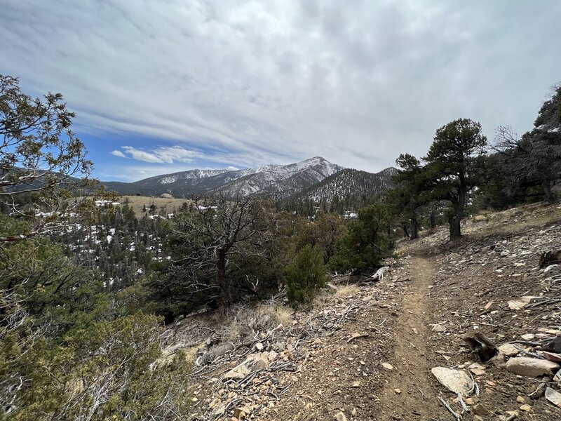 View of Methodist Mountain.