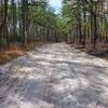 Typical Sandy Road/Trail.