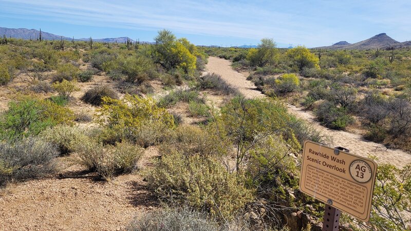 View from the Rawhide Wash Overlook.