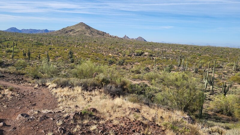 View from Basalt Ridge Overlook (South).