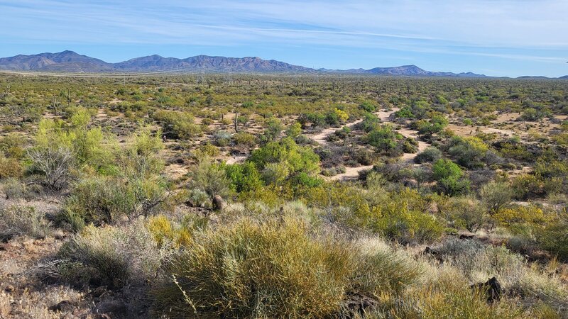 View from Basalt Ridge (North).