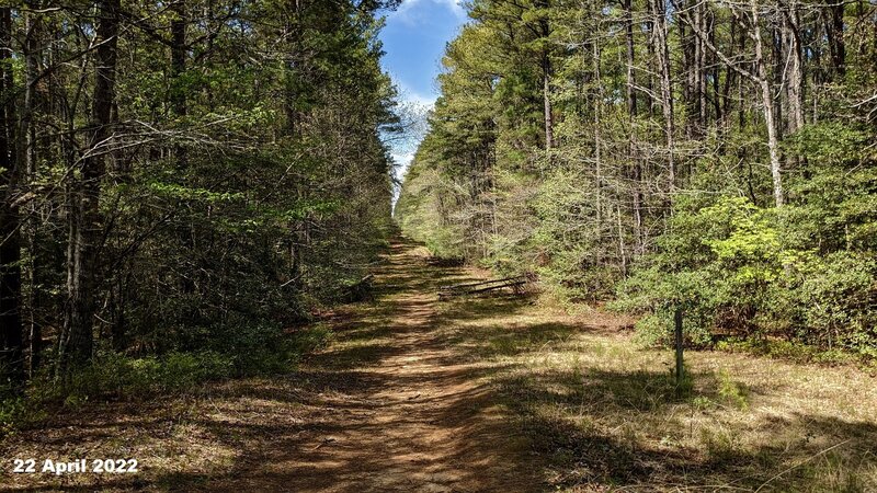 The majority of the trail is wide open doubletrack like this