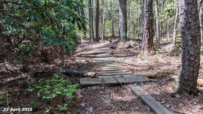 The first mud bypass on the left of the trail has some wooden bridges and skinnies, this is the first section.