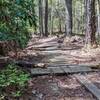 The first mud bypass on the left of the trail has some wooden bridges and skinnies, this is the first section.