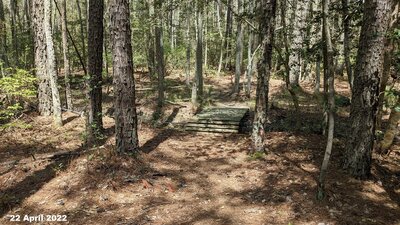The second mud bypass, on the right of the trail, has a wooden bridge the start.