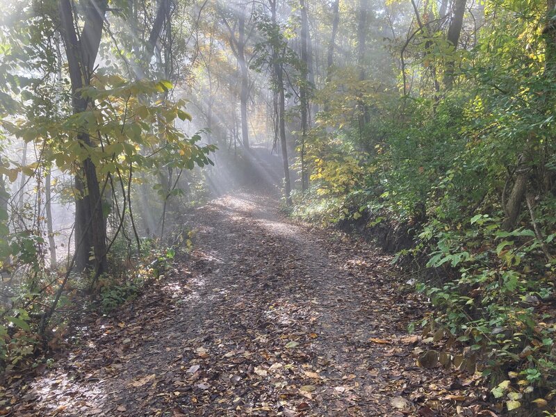 A misty morning looking south on the Crushed Limestone Trail.