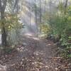 A misty morning looking south on the Crushed Limestone Trail.