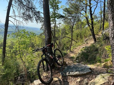 Raptor on the way to Scavenger Run.
