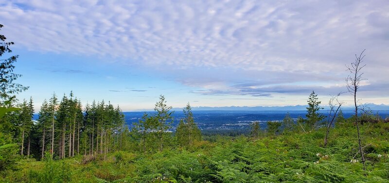 The view northward from the Old Candy trail, which is a very short detour to the clearcut next to Candy. NOTE that the MTBproject trail is wrong, no part of Candy is in the clearcut area.