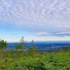 The view northward from the Old Candy trail, which is a very short detour to the clearcut next to Candy. NOTE that the MTBproject trail is wrong, no part of Candy is in the clearcut area.