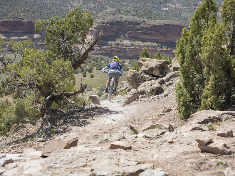 Go ahead, try and not look at the view as you descend Wrangler.