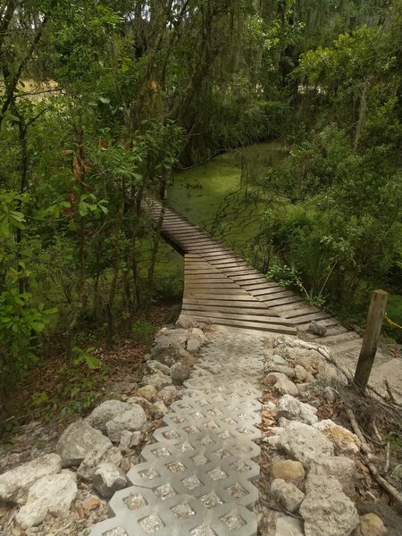 Gators Back Bridge.