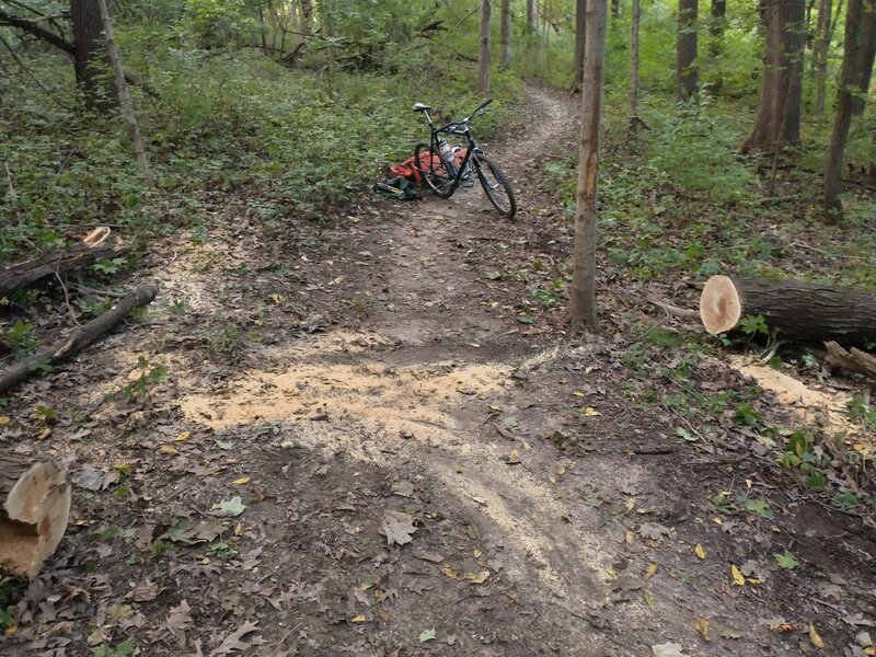 Consistent and reliable maintenance at Lewis Park and Trails.