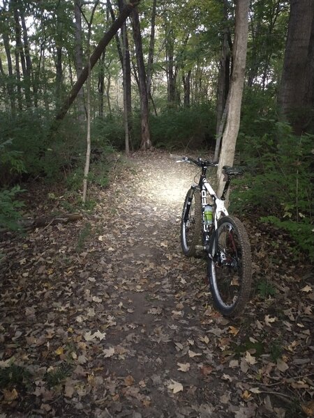 Great early morning and night riding at LPT.  Pretty much get the trails all to yourself!