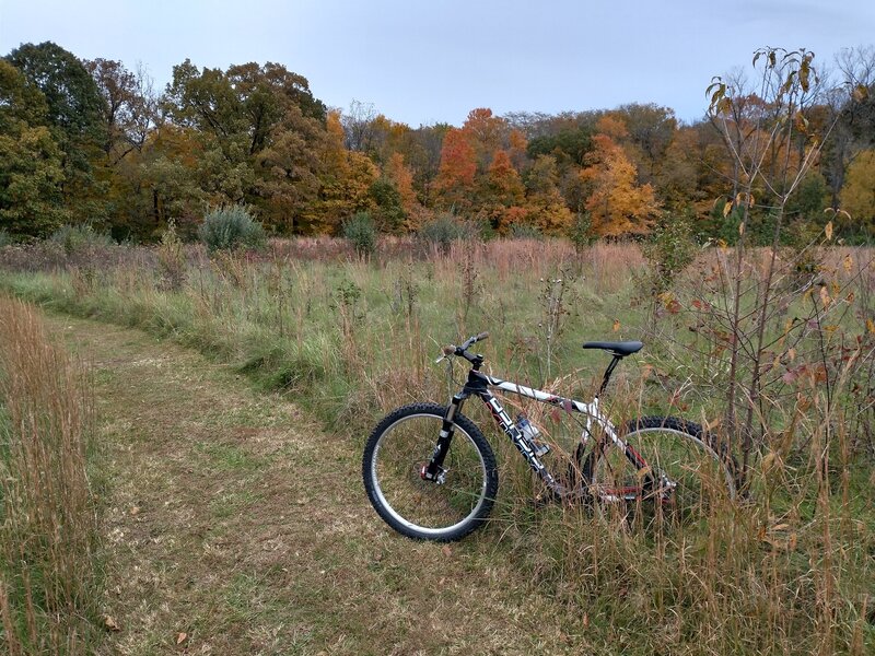 Lewis Memorial Acres Outer Loop Mountain Bike Trail, Leland Grove, Illinois